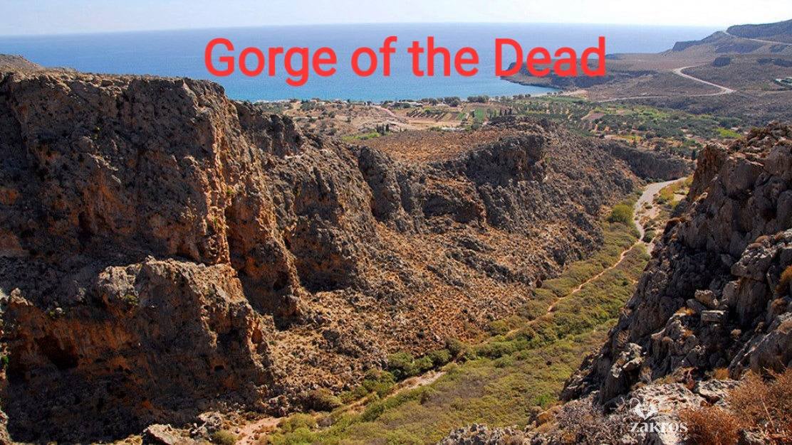 Crete Transfer and tour